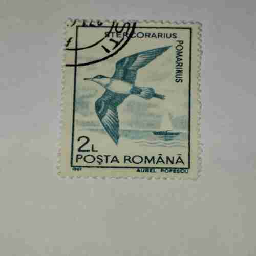 POSTA ROMANA STAMP 2L POSTA ROMANA STAMP 2L