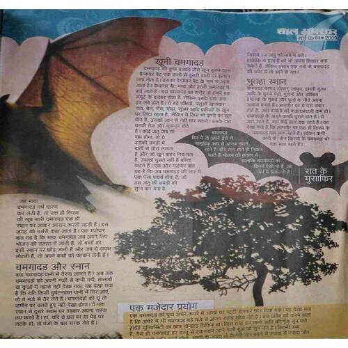 Bal Bhaskar ( May II 2008)Damage magazine