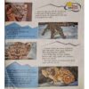 Document 8-images-23 Bal bhaskar ( 4 May 2018)