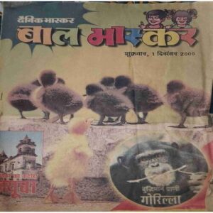 Bal Bhaskar (December I 2000 )Damage magazine
