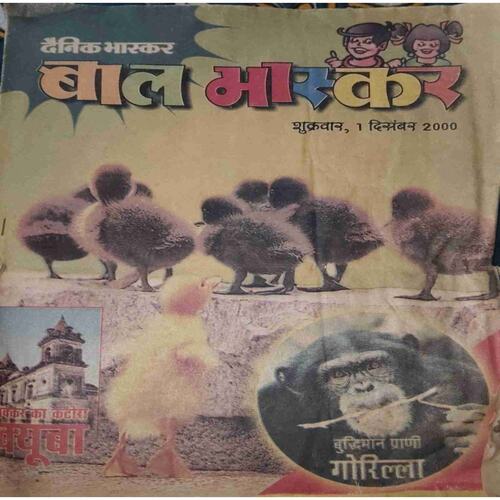 Bal Bhaskar (December I 2000 )Damage magazine