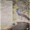 Bal Bhaskar (20 September 2002 )