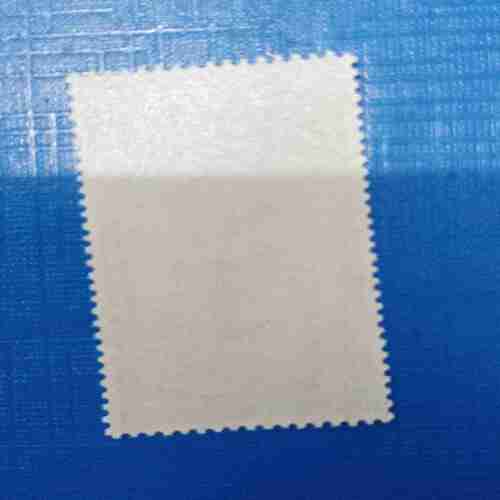 NEPAL 10Paisa POSTAGE STAMP NEPAL 10Paisa POSTAGE STAMP