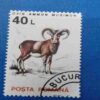 OVIS AMMON MUSIMON 40L POSTAGE STAMP OVIS AMMON MUSIMON 40L POSTAGE STAMP