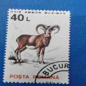 OVIS AMMON MUSIMON 40L POSTAGE STAMP OVIS AMMON MUSIMON 40L POSTAGE STAMP