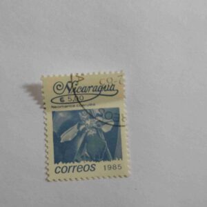 NICARAGUA 5.00C POSTAGE STAMP 1985 NICARAGUA 5.00C POSTAGE STAMP 1985