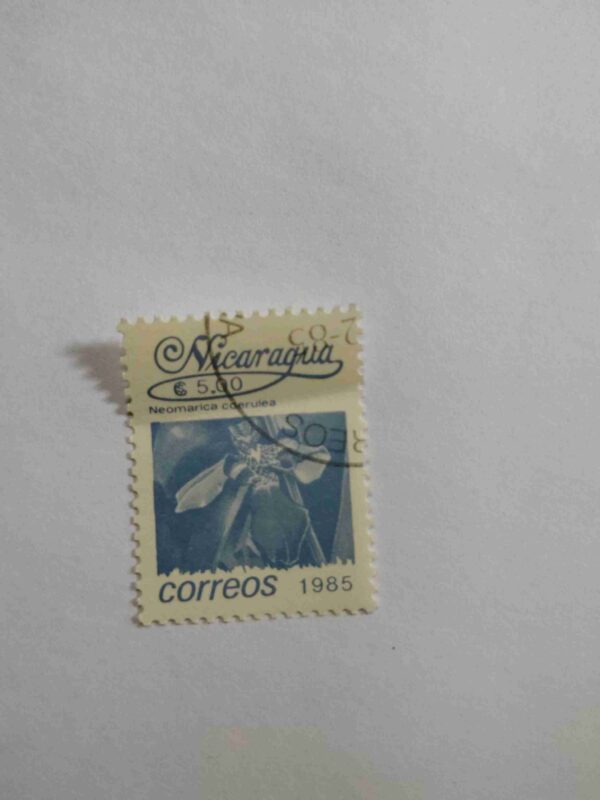 NICARAGUA 5.00C POSTAGE STAMP 1985 NICARAGUA 5.00C POSTAGE STAMP 1985