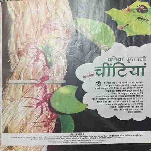 Bal Bhaskar ( November 2nd 2008 )