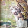 Bal Bhaskar ( 12th July 2002 )
