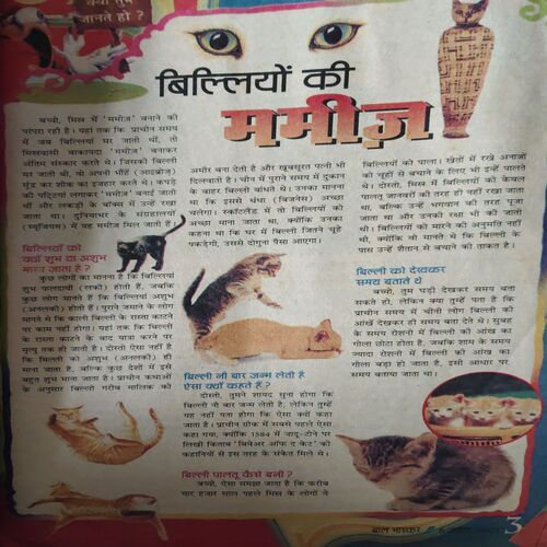 Bal Bhaskar ( 6th April 2001 )