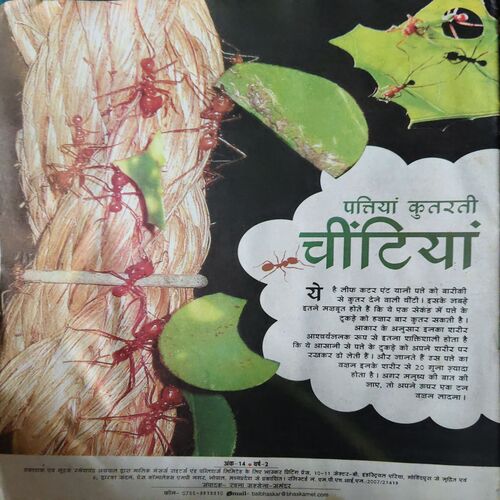 Bal Bhaskar ( 2nd November 2008 )