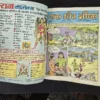 Ek aur Bheeshm