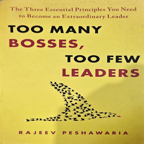 Too Many Bosses Too Few Leaders (pages 222)