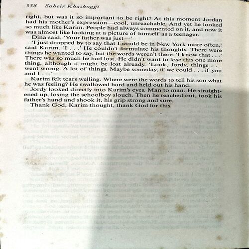 trashed-1786776184-Document 39_90 4 in 1 novel (pages 558)
