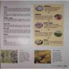 Document 10_page-0023 Nandan ( February 2019)