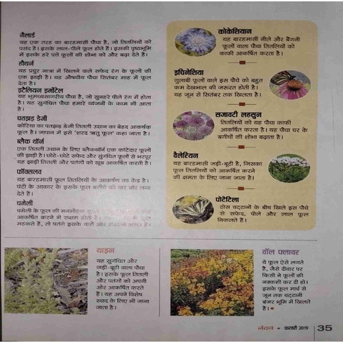 Document 10_page-0023 Nandan ( February 2019)