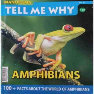 Tell Me Why ( October 2011 )