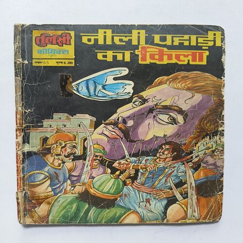 Neeli Pahadi Ka Kila Neeli Pahadi Ka Kila