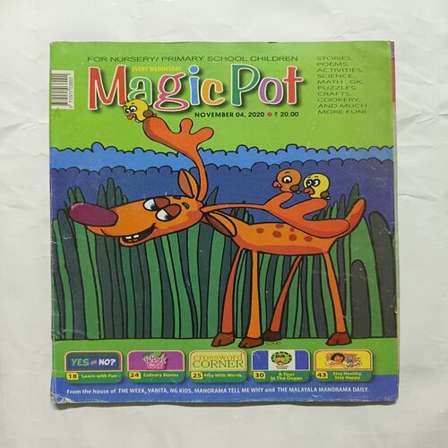 Magic Pot ( November 2020 ) Magic Pot ( November 2020 )