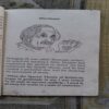 Document 2_122 Illustrated Biography Of Albert Einstein