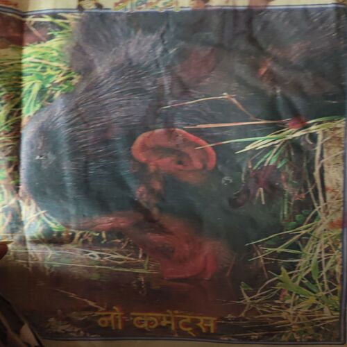 Balrang ( 20th August 1999 ) ( Damaged book & cut on side of whole book )