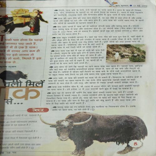 Document 2_41 Bal Bhaskar ( 17th May 2002 )