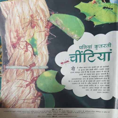 Document 2_78 Bal Bhaskar ( 2nd November 2008 )