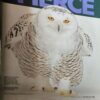 Document 2_86 National Geographic ( February 2025 )