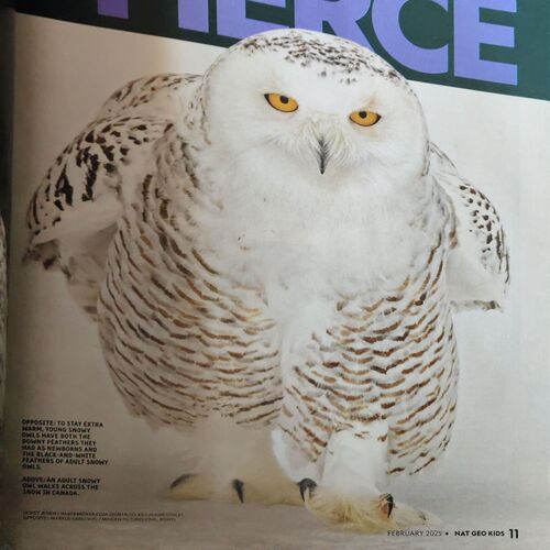 Document 2_86 National Geographic ( February 2025 )