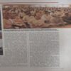 Document 2_89 India Today ( 1st April 2002 )