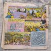 Shootan Ki Shadi Shootan Ki Shadi