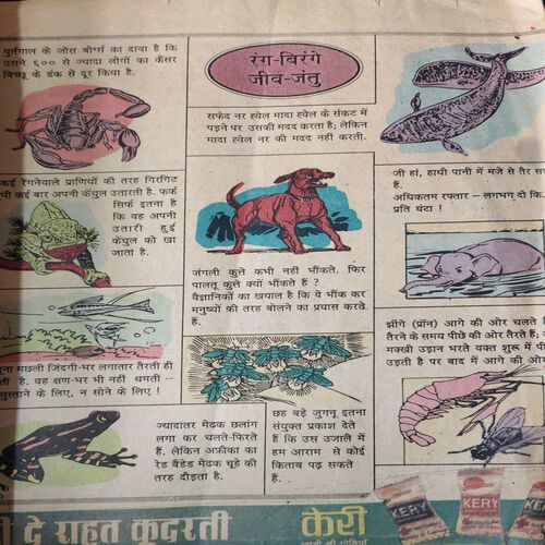 Balrang ( 14th September 1994 ) ( Damage Magazines )