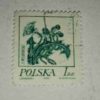 POLSKA 1ZL KONARZEWSKI POSTAGE STAMP POLSKA 1ZL KONARZEWSKI POSTAGE STAMP