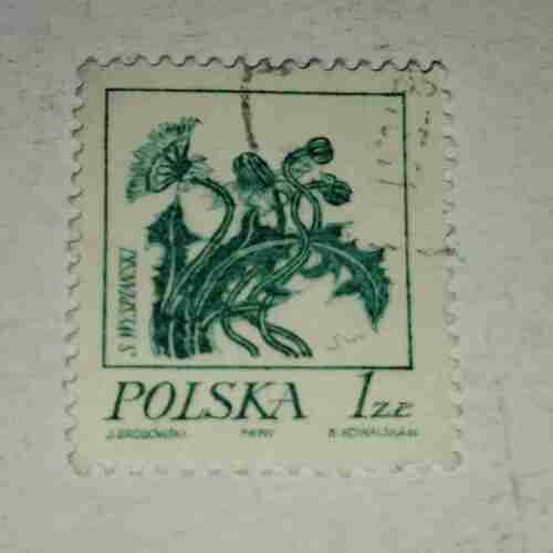 POLSKA 1ZL KONARZEWSKI POSTAGE STAMP POLSKA 1ZL KONARZEWSKI POSTAGE STAMP