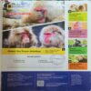 Document 3_29 National Geographic ( July 2025 )
