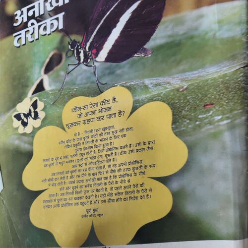 Document 3_9 Bal Bhaskar ( 2nd July 2009 )