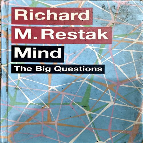 Document 49_114 Mind The Big Question (pages 208)