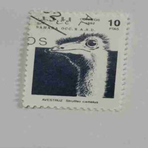 SAHARA OCC. R.A.S.D. 10PTAS POSTAGE , 1992 CORREOS STAMP SAHARA OCC. R.A.S.D. 10PTAS POSTAGE , 1992 CORREOS STAMP