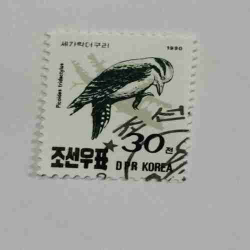 DPK KOREA POSTAGE STAMP DPK KOREA POSTAGE STAMP