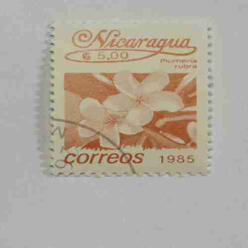 NICARAGUA 5.00$ POSTAGE STAMP , CORREOS 1985