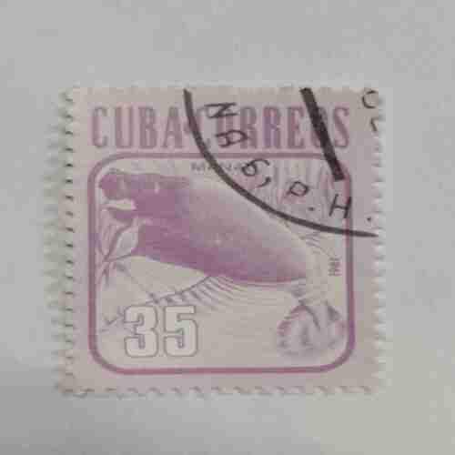 Antique PHILATELY buy PHILATELY online,buy online antique PHILATELY,buy online antique PHILATELY from the Past cart,buy online PHILATELY,buy online PHILATELY from the Past cart,PHILATELY,PHILATELY for sale,PHILATELY online buy,PHILATELY online purchase From Past cart. Antique PHILATELY buy PHILATELY online,buy online antique PHILATELY,buy online antique PHILATELY from the Past cart,buy online PHILATELY,buy online PHILATELY from the Past cart,PHILATELY,PHILATELY for sale,PHILATELY online buy,PHILATELY online purchase From Past cart.