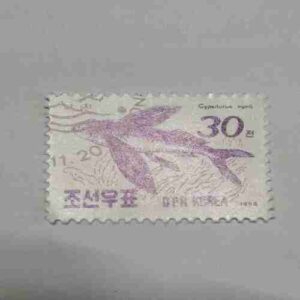 KOREA POSTAGE STAMP 30 Chon,1990 KOREA POSTAGE STAMP 30 Chon,1990