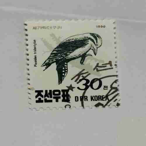 KOREA POSTAGE STAMP 30 Chon,1990 KOREA POSTAGE STAMP 30 Chon,1990