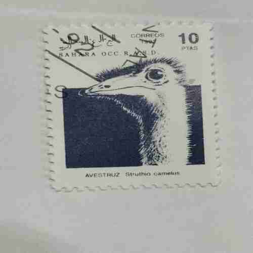 SAHARA OCC. R.A.S.D. 10PTAS POSTAGE , 1992 CORREOS STAMP SAHARA OCC. R.A.S.D. 10PTAS POSTAGE , 1992 CORREOS STAMP