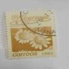 NICARAGUA 5.00$ POSTAGE STAMP , CORREOS 1985