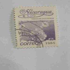 NICARAGUA 5.00$ POSTAGE STAMP , CORREOS 1985 NICARAGUA 5.00$ POSTAGE STAMP , CORREOS 1985