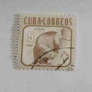 CUBA CITRICOS 5 CORREOS POSTAGE STAMP CUBA CITRICOS 5 CORREOS POSTAGE STAMP