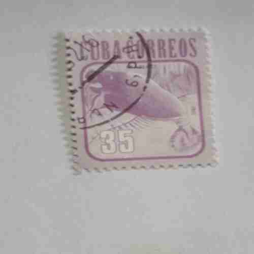 CUBA CITRICOS 35 CORREOS POSTAGE STAMP CUBA CITRICOS 35 CORREOS POSTAGE STAMP