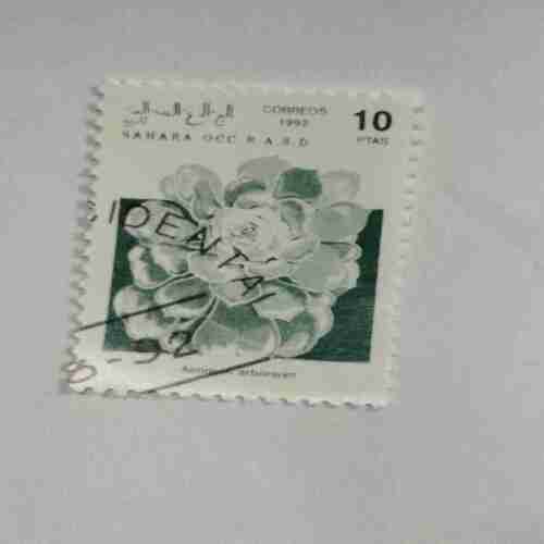 SAHARA OCC. R.A.S.D. 10PTAS POSTAGE , 1992 CORREOS STAMP SAHARA OCC. R.A.S.D. 10PTAS POSTAGE , 1992 CORREOS STAMP