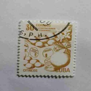 CUBA CITRICOS 30 CORREOS POSTAGE ,1982 STAMP CUBA CITRICOS 30 CORREOS POSTAGE ,1982 STAMP